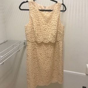 J. Crew Size 8 Lace Dress